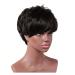 CAIHUASHOPING HAARDIEN 10INCH Women Black Werzen High temperature fiber Short hair parts Toupee and Talence Natural Synthice WIGS For the daily party Wigen