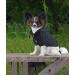 Idepet Dog Sweater & Pet Clothes - Warm Coat for Small Dogs & Cats (Medium Black) - Buy Online on GoSupps.com