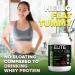 Organic Plant Based Chocolate Protein Powder - Pea & Hemp Blend for Muscle Recovery - 30 Servings, 2.64 lb - USDA Organic, Non-GMO, Dairy-Free, Vegan - Buy Online on GoSupps.com