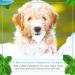 Dr. Mercola Organic Peppermint Dog Shampoo 8 oz - Healthy, Natural Care - Buy Online on GoSupps.com