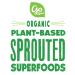 Go Raw Organic Sprouted Banana Flaxseed Bars - 10 Pack, 0.4 oz Each - Healthy Snack - Buy Online on GoSupps.com