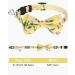 Tagme Cat Collars with Names & Phone Numbers | Yellow Flower Kitten Neck Band with Safety Closure & Bell | 1 Pack - Buy Online on GoSupps.com