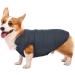 ASENKU Windproof Dog Winter Jacket - Waterproof & Warm Pet Coat for Small, Medium, Large Dogs - Blue (S Size) - Buy Online on GoSupps.com