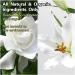 Scented Candle for Women | 7.5 oz Natural Soy Aromatherapy Candle | Floral Scents in Elegant Ceramic Wood Cup | Perfect Gift for Men & Women - Buy Online on GoSupps.com