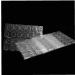 (240PCS) Double-Side Nail Adhesive Tabs Nail Jelly Double-Sided Adhesive Nail Glue Stickers 10 Sheets for Women Useful and Deft - Buy Online on GoSupps.com