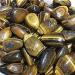 Natural Polished Crystals Tiger Eye Palm Stones for Home Decoration Stone Mineral Specimen - Buy Online on GoSupps.com