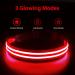 Buy Waterproof Luminous Dog Collar - Adjustable LED Flashing Light for Small & Medium Dogs | Enhanced Night Visibility (Red 28-40cm) - Buy Online on GoSupps.com