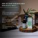 Californian White Sage Essential Oil Diffuser Blend by Aromafume | 3x10ml/0.33 fl oz | Aromatherapy Oil for Cleansing Negative Energy & Protection | Ethically sourced | Sage Oil for Smokeless Smudging - Buy Online on GoSupps.com