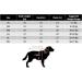 Spike and Stella Pink Raincoat for Dogs - Cute Patterned Lining | Size: Medium - Buy Online on GoSupps.com