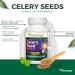 Vitanergy Celery Seed Value Pack Gout Relief Antioxidant Support 75mg with 15:1 Extract Ratio 150 Vegan Capsules 75-Day Supply Made in Canada - Buy Online on GoSupps.com