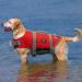 Emust XL Dog Chest Reflective & Adjustable Vest - Enhanced Buoyancy & Rescue Handle for Swimming - Red - Buy Online on GoSupps.com