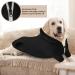 Shop Meioro Hoodie Sweater for Dogs | Warm Zip-Up Pet Clothes | Cute Hoodies for French Bulldogs & Pugs (Large All Black) - Buy Online on GoSupps.com