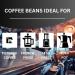 Coffee Holic - Kenya Coffee Beans 1Kg - (100% Arabica) - Medium Roast Coffee Beans - Rich Flavoured Coffee Kenya 100% Arabica 1 kg (Pack of 1) - Buy Online on GoSupps.com
