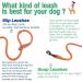 Lynxking Tow Lines for Dogs - Durable Dog Leash for Small Medium & Large Dogs (Orange 1.3cm x 240cm) - Ideal for Training & Walking - Buy Online on GoSupps.com