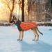 Shop Slowton Winter Coat for Dogs - Warm Polar Fleece Jacket with Turtleneck Scarf | International Shipping Available - Buy Online on GoSupps.com