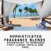 Diamond Life Home Refresh Rosemary & Mint Carpet & Upholstery Freshener - Odor Eliminator for Homes with Kids & Pets - Buy Online on GoSupps.com