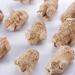 American Ginseng Root Natural Wild 12 Years of American Ginseng Root Xi Yang Shen American Ginseng Organic American Ginseng (250 Grams /0.55 lbs) 1 count (Pack of 1) - Buy Online on GoSupps.com