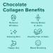 Further Food Chocolate Collagen Peptides with Reishi Mushroom - 11 oz Dark Chocolate Superfood - Buy Online on GoSupps.com