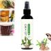 Brazilian Wood Plant Food Lucky Bamboo Liquid Fertilizer Lucky Brazilian Wood Houseplant Fertilizer Brazilian Wood Flowering Special Nutrient Solution (1pcs)