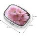 Pink Cherry Blossoms Portable Pill Box | Travel-Friendly Medicine Organizer - Buy Online on GoSupps.com