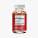 GO-Out Uric Acid Cleanse Supplement| Natural Supplements Promoting Kidney & Joint Support| Includes Tart Cherry Bilberry Extract and Celery Seed Extract | Uric Acid Support Formula|120 SOFTGELS - Buy Online on GoSupps.com
