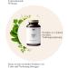Herbal Trade Sankt Anton Mary Thistle Capsules - High Dose 80% Silymarin - Premium Quality German 90 Capsules - Buy Online on GoSupps.com