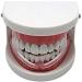 Anti Teeth-Grinding Dental Guard | Ready-to-Use Slim & Comfortable | Pain Relief for Upper & Lower Jaw - International Shipping Available - Buy Online on GoSupps.com