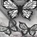 Butterfly Eyeliner Stencil Butterfly Eyeliner Stamp Butterfly Eye Makeup Stencil Butterfly Stencil Eyeliner Tool (5pcs) - Buy Online on GoSupps.com