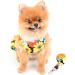 Paidful Colorful Flower Tutu Dog Harness Dress for Small Dogs & Cats | Breathable Mesh Pet Clothing with Leash for Mini Puppies | Spring Orange XXL - Buy Online on GoSupps.com