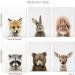 Forest Animals Poster Set - Set of 6 Children's Room Wall Art and Safari Decoration - Buy Online on GoSupps.com