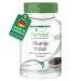 Fairvital | Mumijo Shilajit - 90 capsules - with 1000mg mumijo powder per daily dose - Shilajit original Himalaya - fulvic ac