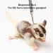 3 Pack Sugar Glider Harness and Lead Set Small Animal Training Walking Vest for Squirrel Hamster Rat (Brown) - Buy Online on GoSupps.com