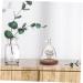 Zerodeko 3pcs Angel Glass Cover Heart Shaped Cake Pans Blue Plant Pots Indoor Desktop Stand Tiny Containers Floral Decor Rose Dome Food Glass Dome Faux Plants Vase Wooden Wedding Cake Stand - Buy Online on GoSupps.com