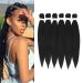 Ancient lichenhaar Easy Braid Professional itch-free synthetic fiber crochet borders yaki texture hair extensions 6 packs braid hair 26 inch (1b#) 66 cm (6 Pack) 1b#