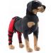 Dog Rear Hind Leg Joint Brace Pet Dog Double Hind Leg Brace Support Belt for Heals Prevents Injuries Sprains Protects Wounds. C X-Small - Buy Online on GoSupps.com