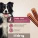 Amazon Brand - Lifelong Grain Free Recipe Dental Sticks for Medium and Large Breed Dogs Chicken 180g Pack of 6 - Buy Online on GoSupps.com