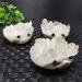 SDWGLD Healing Aura Crystal - Natural Clear Quartz Hedgehog Cluster 60-70mm | Shop Internationally - Buy Online on GoSupps.com