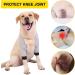 DONGKER Dog Elbow Brace Dog Recovery Sleeve Dog Elbow Bandage for Dog Knee Brace After Surgery - Buy Online on GoSupps.com