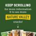 Nature Valley Peanut Butter Dark Chocolate Granola Bars 8.94 oz - Pack of 12 - Buy Online on GoSupps.com