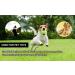 Orion Stationery kids play and Pet Training Tennis Balls Soft Rubber Tennis Balls 12 - Buy Online on GoSupps.com