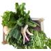 Fresh Box 5kg Colorful Variety - Premium Rabbit Box for International Shipping - Buy Online on GoSupps.com