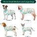Kuoser Dog Post-Op Recovery Suit for Male Dogs - Breathable & Leakproof - Anti-Lick Body - XS Green (1 Pack) - Buy Online on GoSupps.com