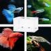 BRYHZKCM 2pcs Fish Hatchery Breeder Box - Large 10x6x6 Nylon Mesh Separation Net with Suction Cup - Buy Online on GoSupps.com