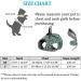 Etopars Cat Dishes & Leash Set | Adjustable Cat Vest & Outbreak-Proof Harness for Kittens & Puppies - XS Green - Buy Online on GoSupps.com