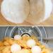 ZYWUOY 6Pcs Wool Dryer Balls Reusable Softener Sheep Organic Fabric Wool Dryer Balls Laundry Dryer Sheets Alternative - Buy Online on GoSupps.com