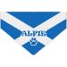 Personalized Dog Hollow Collar - Great Britain Motif (England Scotland Wales) - British Flag Design for Dogs - Buy Online on GoSupps.com