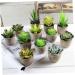 MAGICLULU 2pcs Faux Plant Simulation Plant Small Succulent Plants Home D cor Succulent Simulation Succulents Arrangements Suculentas Artificial Plants Decorative Plants Mini Cactus - Buy Online on GoSupps.com