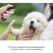 Diyife Dog Clicker for Effective Training - 2 Pack (Black + Cyan) - Ideal for Dogs Cats & Horses - Easy Grip & Large Button - Buy Online on GoSupps.com