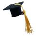 Geteawily Graduation Hat Insert - 3D Doctoral Hat 3D Graduation Hat Hairpins Dress up Photo Decoration Supplies for Graduation Yellow