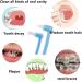 End Tuft Toothbrush Set - Round & Pointed Toothbrush for Optimal Oral Hygiene | Ideal for Braces Cavities Tooth Gaps Tartar Wisdom Teeth & Deep Cleaning - Buy Online on GoSupps.com